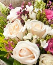 Díaz Floristas imagen 1