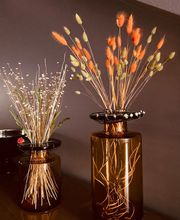 Emilia Mihalydeakpal DaMa Pflanzendesign Bild 14