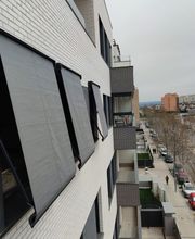 Hipertoldos imagen 10