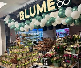 BLUME2000 Darmstadt Bild 1