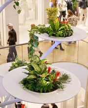 Minto Mönchengladbach Bild 3