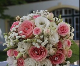 Blumen Schultz Bild 5