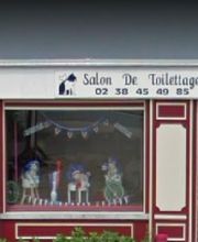 Entre Chien et Chat image 2