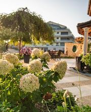 E.+R. Forrer Gartenbau AG Bild 11