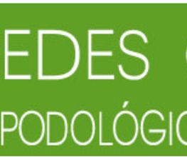 mercedes gutierrez logo.jpg