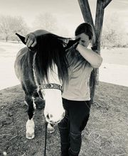 Nicola Annaberger, Pferdeosteopathie Oberland, Pferdephysiotherapie Oberbayern, Pferdeosteopathie Oberbayern, Osteo Pferd Bild 10