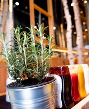 HANS IM GLÜCK - BASEL Steinenvorstadt Bild 8