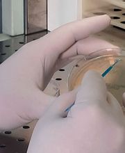 Laboratorio Analisi Medilab immagine 1