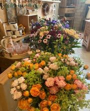 Fleurs d'Elfes Bild 11