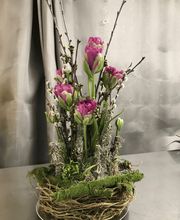 ColeDesign Colette Beer Bild 6