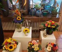 Blumen Nouvelle Fleur Bild 2