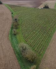 Citeau Christophe image 3