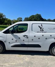 Wind im Hundefell Bild 12