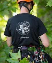 Les Artisans de L'Arbre Sarl Bild 4