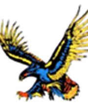 Pneus RAFFIN image 3