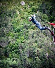 Elastic Natural Bungee image 2