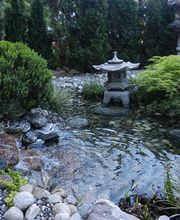 Art & Giardini Sagl Bild 2