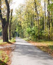 Wanderreitstation Gut Mischenried GmbH Bild 6