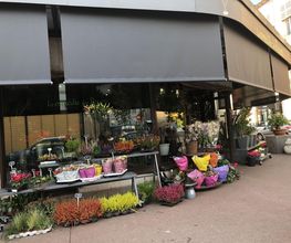 La Comédie Des Fleurs image 9