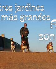RESIDENCIA CANINA SORIA imagen 2