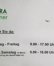 DEKRA Partner Knut Schilling Bild 2