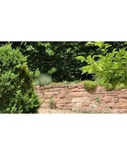 Winkler & Co. GmbH Garten- und Landschaftsbau Bild 4