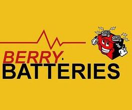 Berry Batteries S.A.S. image 1