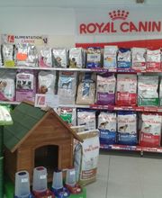 Farago Creuse image 7