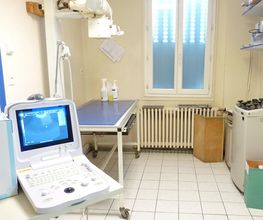 Cabinet Veterinaire de Chat-Ours image 2