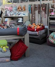 Schönes Hundeleben Bild 5