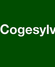 Olivier Perrot Cogesylv image 2