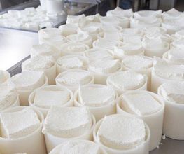 produccion-queso-04.jpg