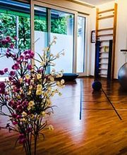 Physio DynaMed Bild 2