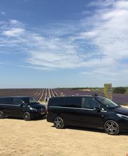 Provence Cab image 2