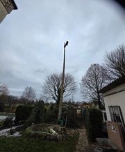 Alles-Im-Seil Bild 4