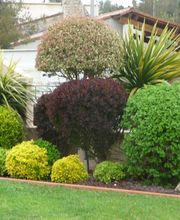 T2H Espaces Verts image 1