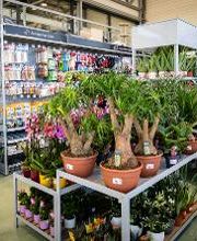 Bricorama La Chapelle Saint Luc image 6