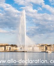 Allo-Déclaration Suisse Bild 2