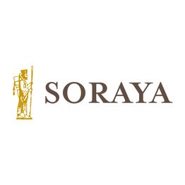 Soraya Tappeti Persiani di Noemi Nori logo