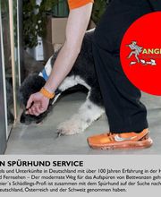 Angermeier's Schädlingsbekämpfung GmbH Bild 2