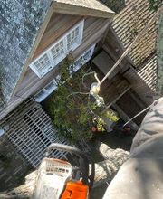 Climbers Tree Care Specialist, Inc. image 5