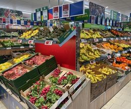 Lidl Bild 6