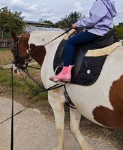 Marianne's Reiten Bild 5