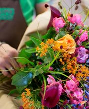 BLUME2000 Minden Bild 5