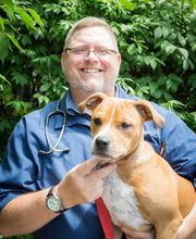 Skinner Animal Clinic image 7