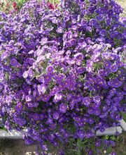 Pension Donar Bild 1