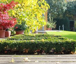 Käser Gartenbau AG Bild 8