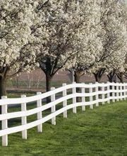 Santon Nos Jardins image 5