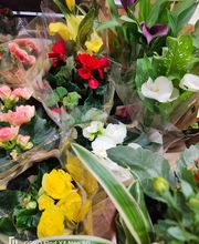 Intermarché station-service Aulnay image 1