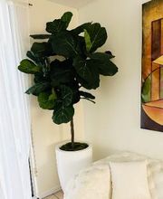 2 Lips Fort Lauderdale Florist & Flower Delivery image 10